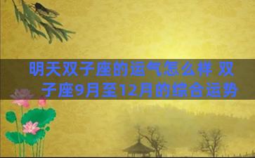 明天双子座的运气怎么样 双子座9月至12月的综合运势